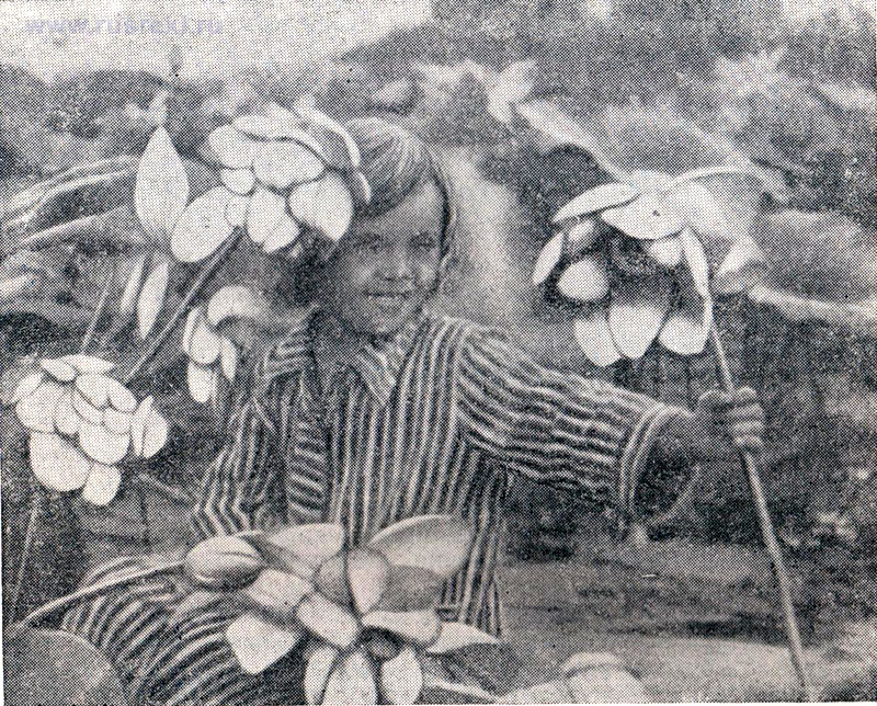 Лотос в Астраханском заповеднике, фото 1950-х годов. Речной круиз Москва - Астрахань.